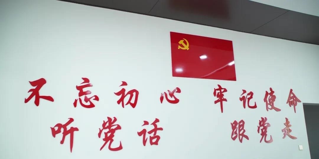 岑溪市祥云花岗岩矿：党建引领 跑出生态环境修复“加速度”