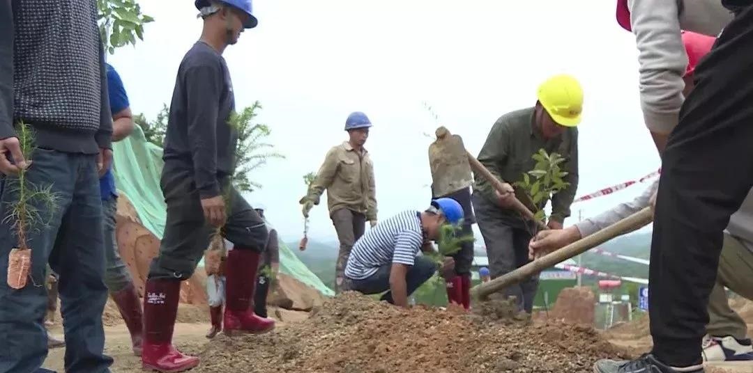 岑溪市祥云花岗岩矿：党建引领 跑出生态环境修复“加速度”