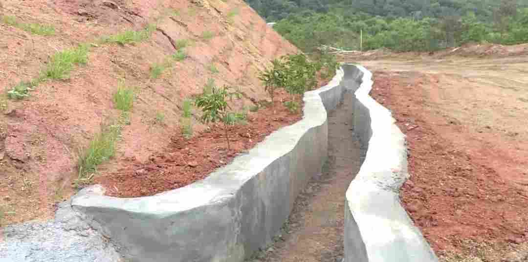 岑溪市祥云花岗岩矿：党建引领 跑出生态环境修复“加速度”