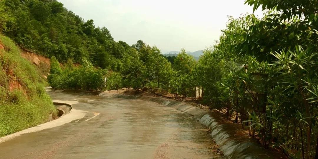 受中央督察组指出问题，岑溪市各矿山全力整改，打造绿色宝山