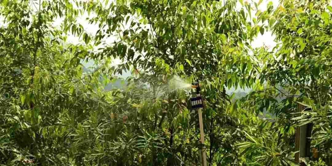 受中央督察组指出问题，岑溪市各矿山全力整改，打造绿色宝山
