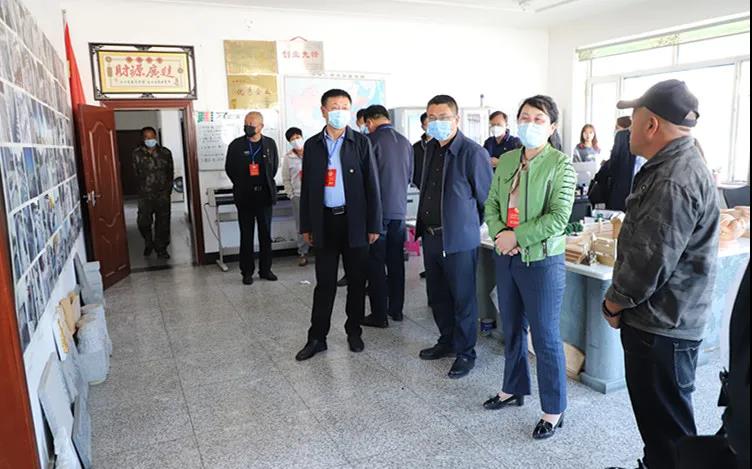 蛟河市政协开展天岗花岗岩石材特色小镇建设工作情况调查 蛟河市政协开展天岗花岗岩石材特色小镇建设工作情况调查