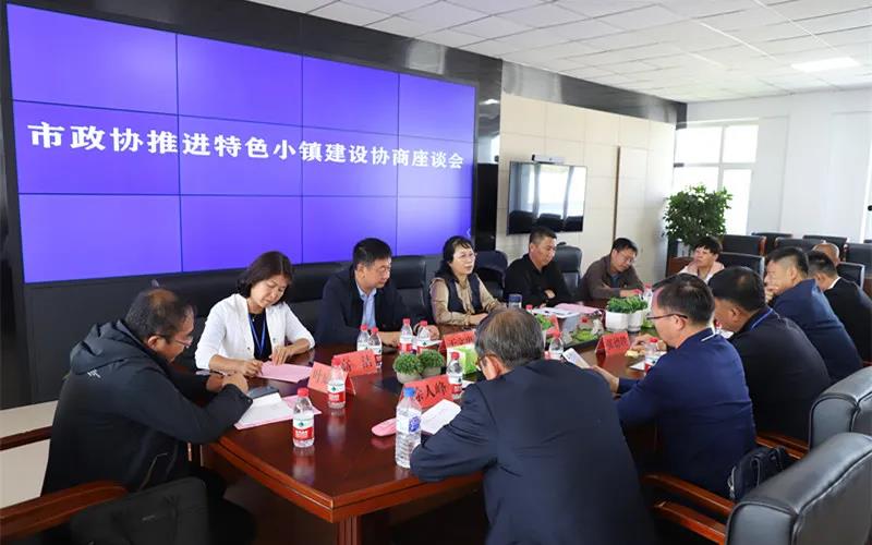 蛟河市政协开展天岗花岗岩石材特色小镇建设工作情况调查 蛟河市政协开展天岗花岗岩石材特色小镇建设工作情况调查