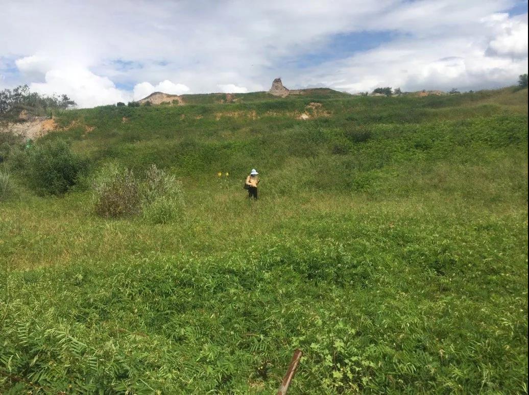 “三分建、七分管”——将恢复和重建矿区生态系统作为项目实施的终极目标 “三分建、七分管”——将恢复和重建矿区生态系统作为项目实施的终极目标