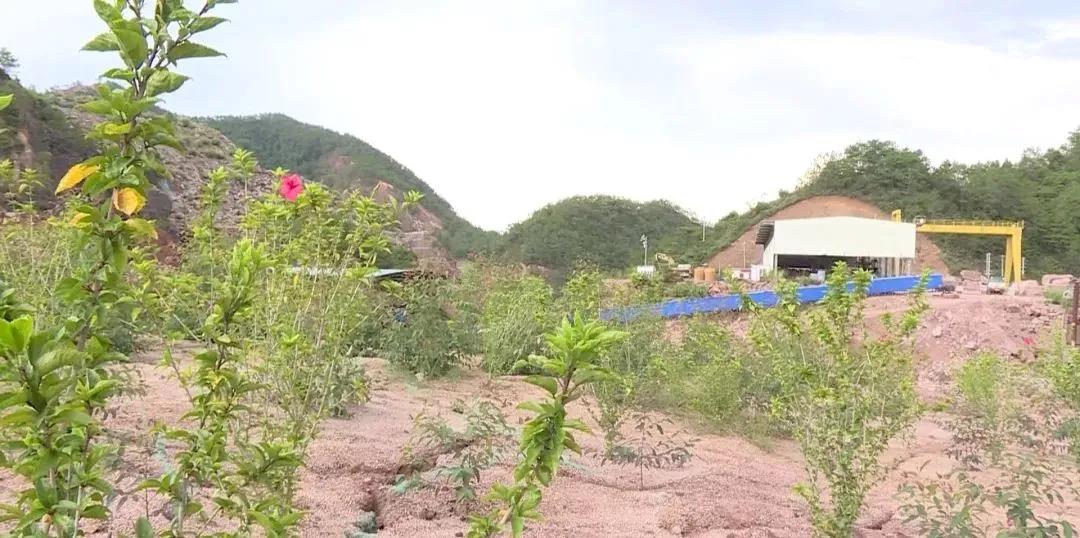 岑溪市委书记罗伟雄调研花岗岩矿山整改工作,推动石材产业高质量发展。 岑溪市委书记罗伟雄调研花岗岩矿山整改工作,推动石材产业高质量发展。