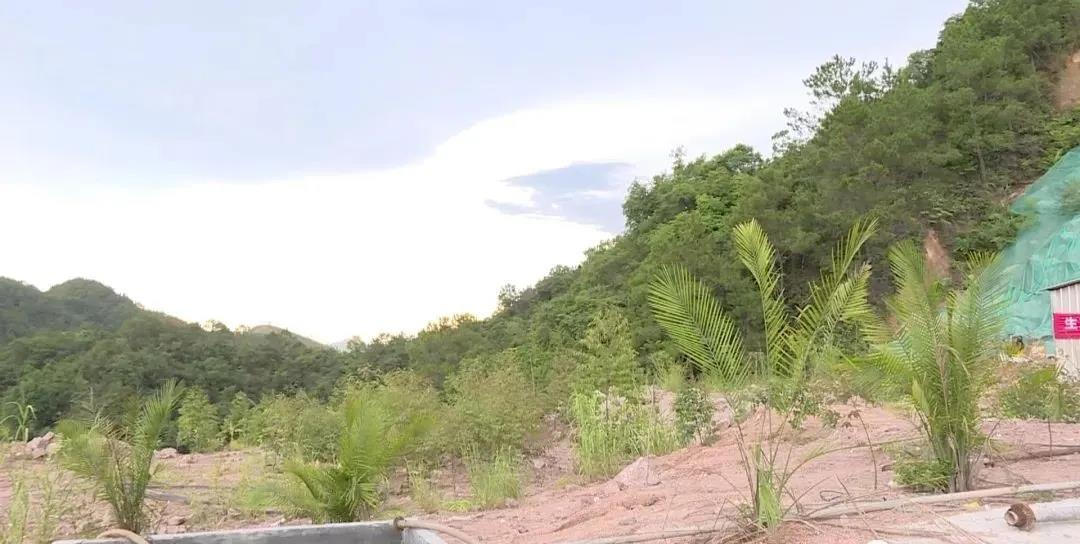 岑溪市委书记罗伟雄调研花岗岩矿山整改工作,推动石材产业高质量发展。 岑溪市委书记罗伟雄调研花岗岩矿山整改工作,推动石材产业高质量发展。