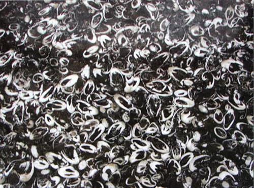 闻名世界天然木纹石严重滞销，贵州石材路在何方？石材人都来支支招！