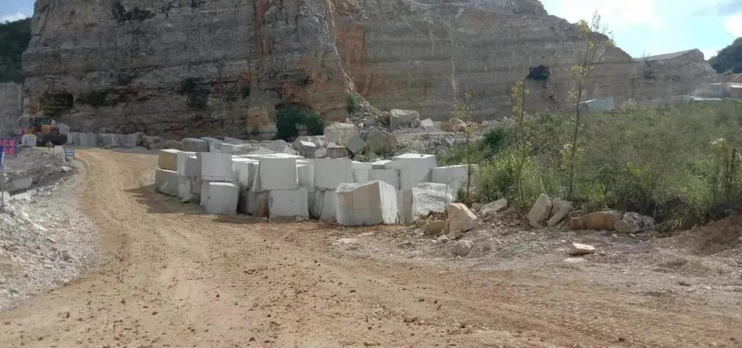 闻名世界天然木纹石严重滞销，贵州石材路在何方？石材人都来支支招！