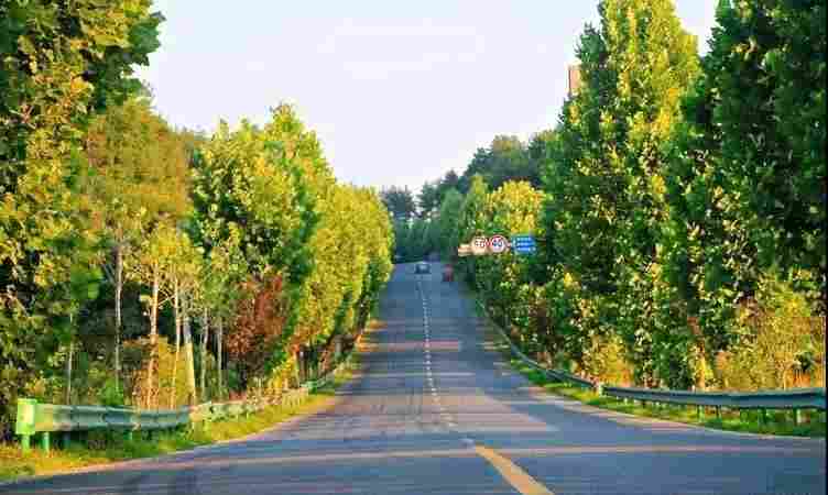 全力打造“中国花岗岩之乡”，随州吴山镇蝶变展新颜