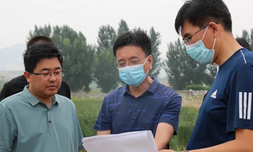 中国石都“莱州”狠抓生态环保工作 中国石都“莱州”狠抓生态环保工作