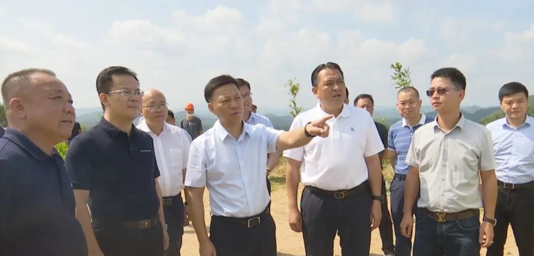 梧州市委书记蒋连生赴岑溪调研中央环保督察反馈石材矿产问题