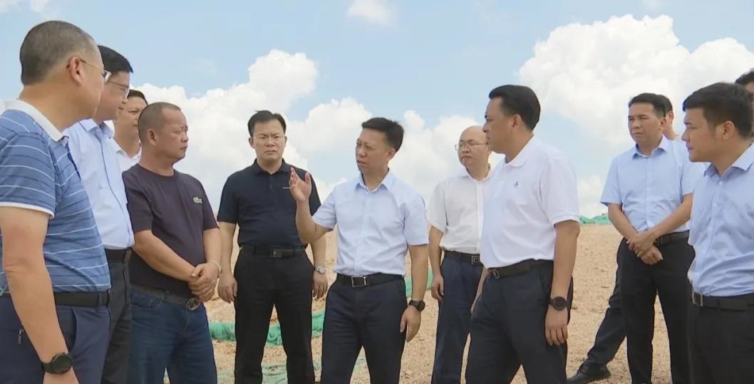 梧州市委书记蒋连生赴岑溪调研中央环保督察反馈石材矿产问题