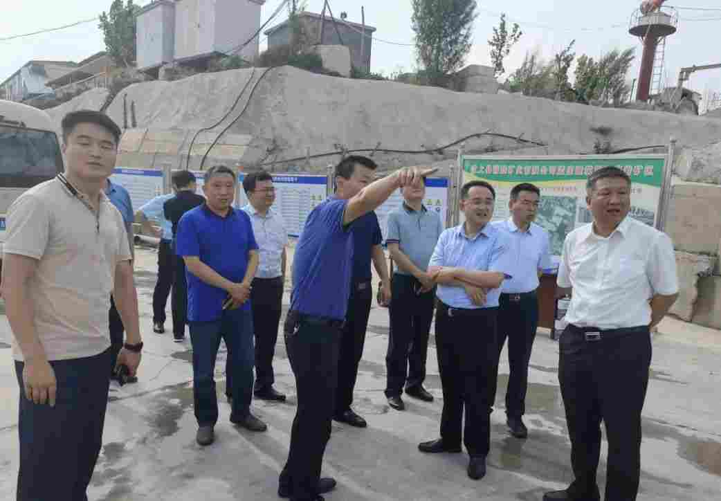 市政府副市长王宏伟到汶上县白石镇调研材产业发展情况