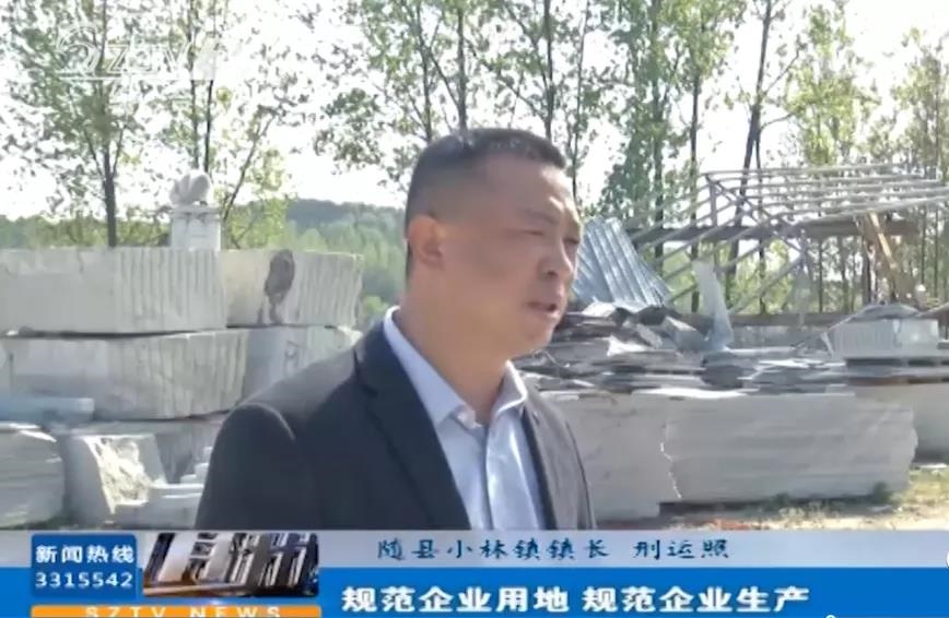 问责促整改 随县依法拆除一违建石材厂