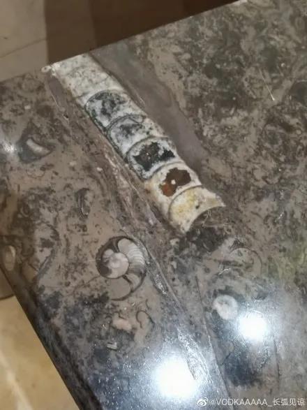 上热搜！一机场厕所大理石洗手台上布满了几亿年前化石
