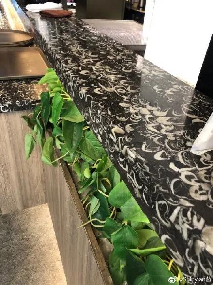 上热搜！一机场厕所大理石洗手台上布满了几亿年前化石