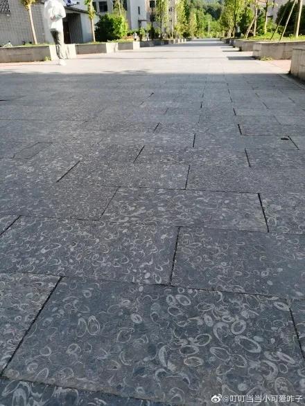 上热搜！一机场厕所大理石洗手台上布满了几亿年前化石