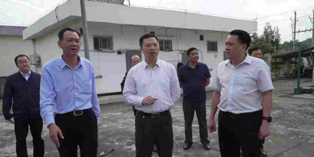 梧州市政协主席率队前往岑溪市就石材物流运输工作开展专题调研