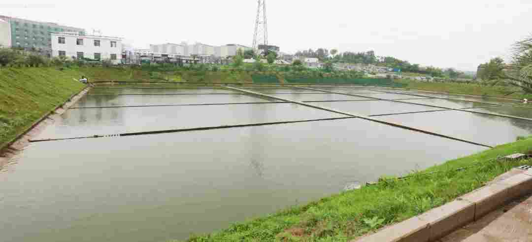 山东莱州市市长率队莅临麻城产业园考察并召开座谈会