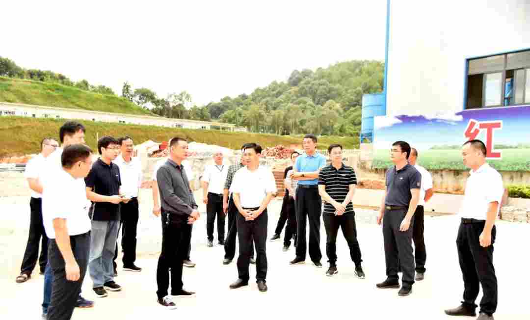 永定区委书记带队调研龙湖保护与开发和永定红石材循环经济产业园建设情况 永定区委书记带队调研龙湖保护与开发和永定红石材循环经济产业园建设情况