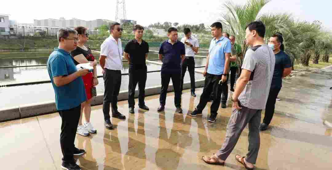 吉林省蛟河市委常委、副市长林海策一行莅临中部（麻城）石材循环经济产业园考察