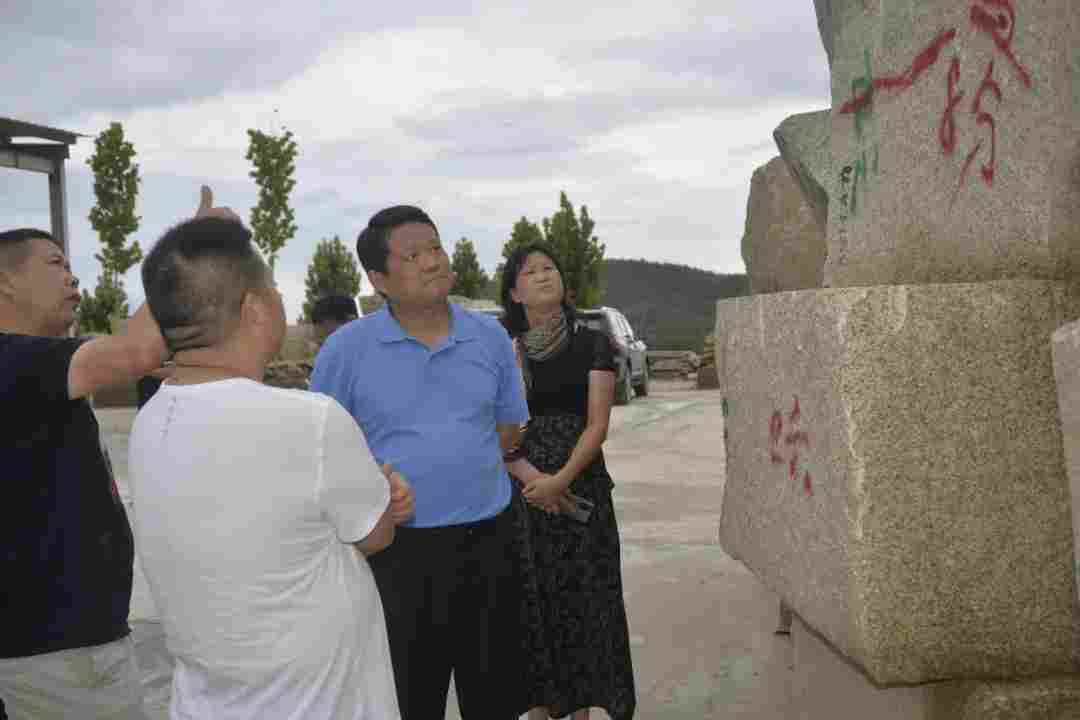 湖北省生态环境保护监察专员冯安龙调研督办随县石材产业生态环境治理