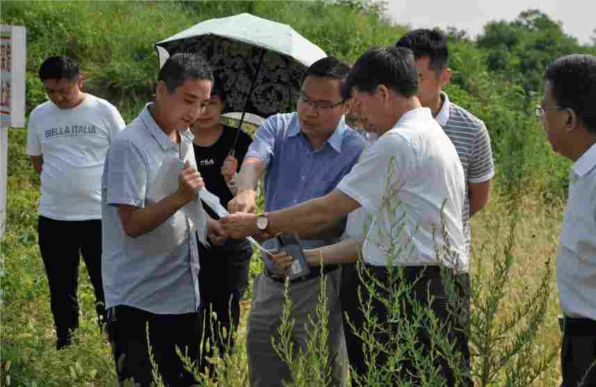 驻马店市政协委员视察调研北泉寺周边废弃矿山综合整治工作