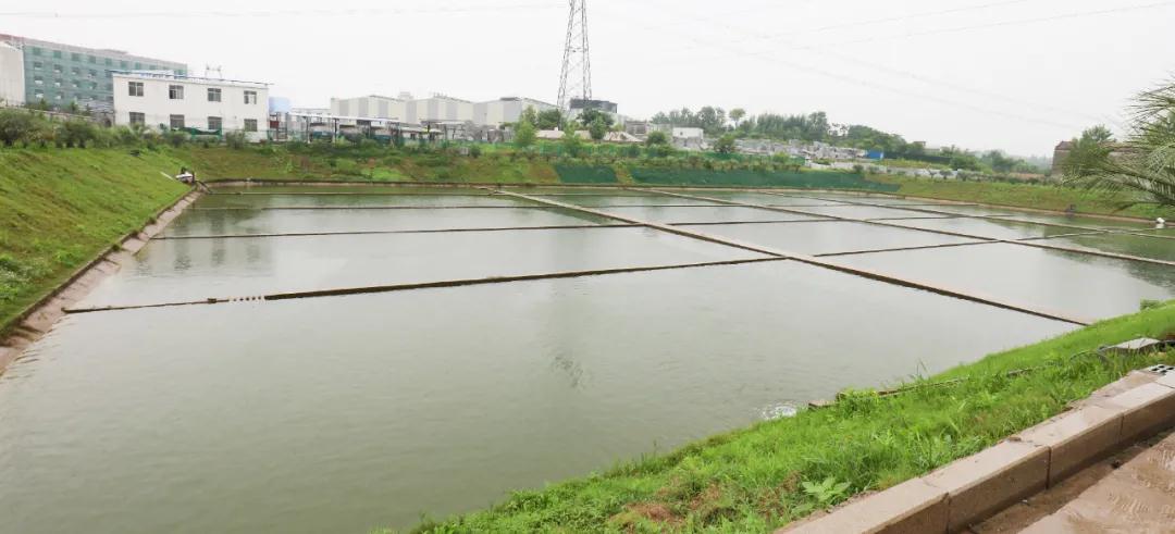 山东五莲县委书记马维强一行莅临中部（麻城）石材产业园考察学习