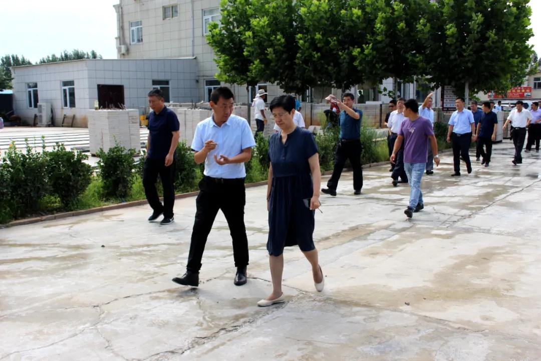 汶上县委书记带队亲临指导工作，召开矿山综合整治及加工企业压减整合工作推进会议